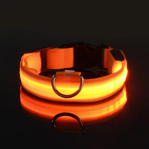 Pet Glow- Collar LED para Perros