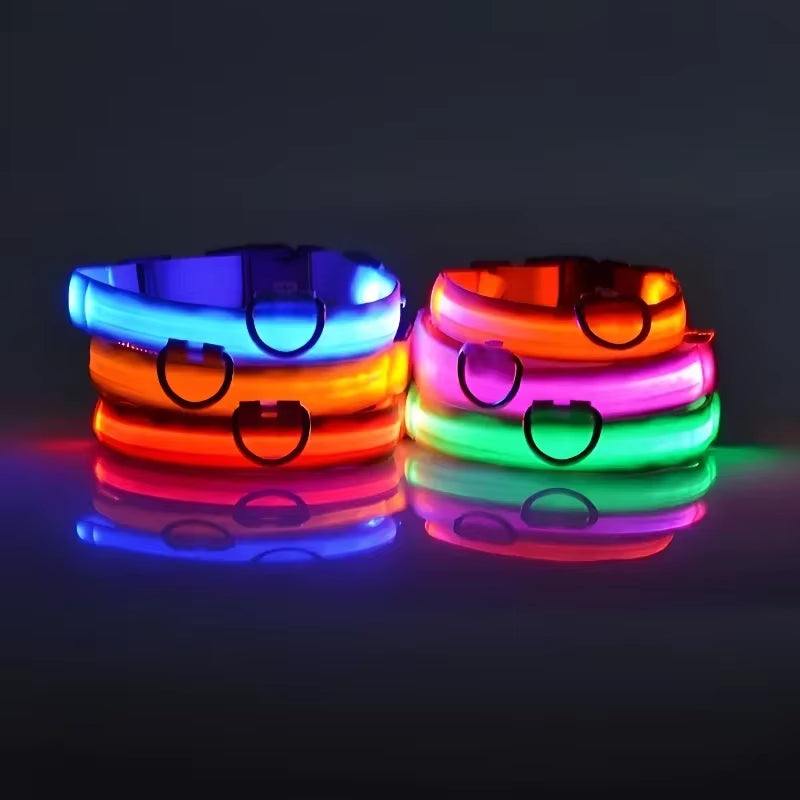 Pet Glow- Collar LED para Perros