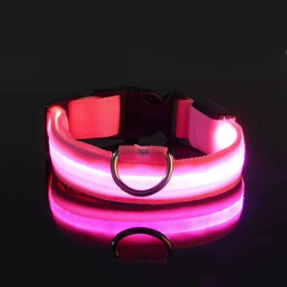 Pet Glow- Collar LED para Perros