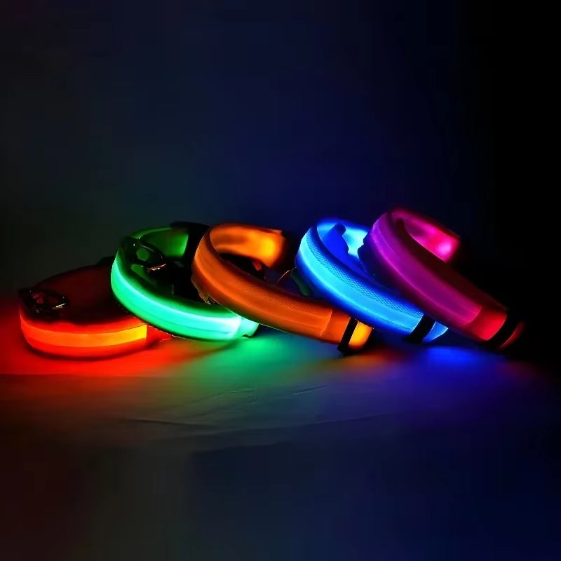 Pet Glow- Collar LED para Perros