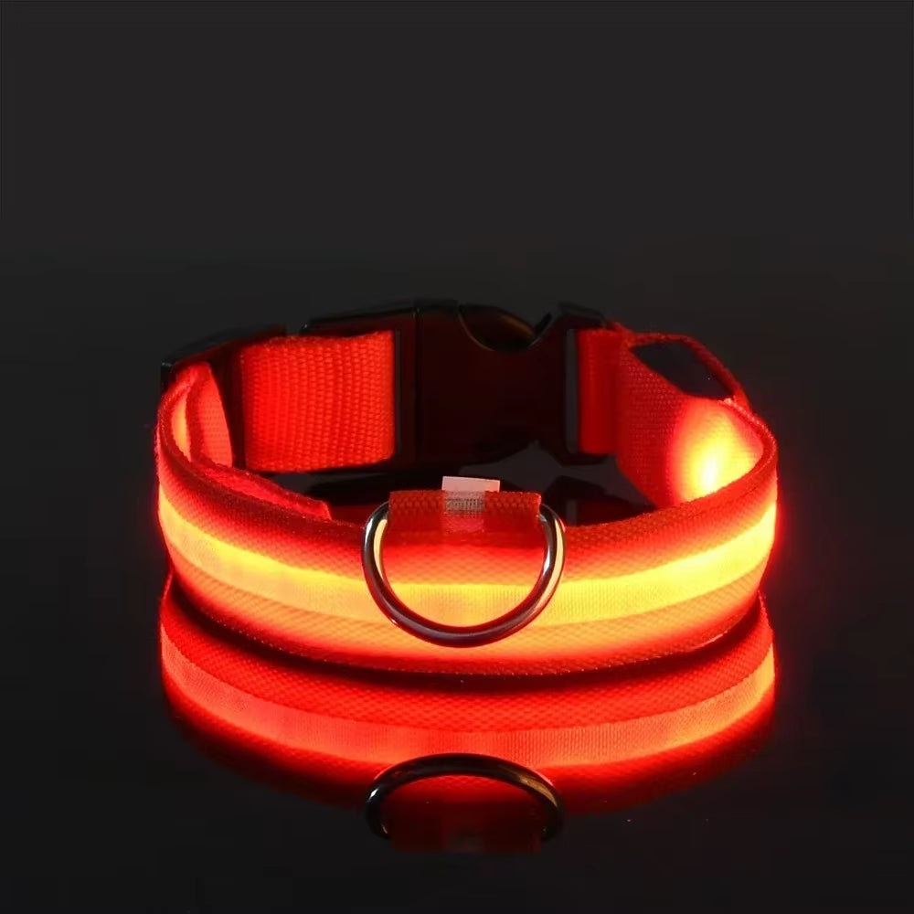 Pet Glow- Collar LED para Perros