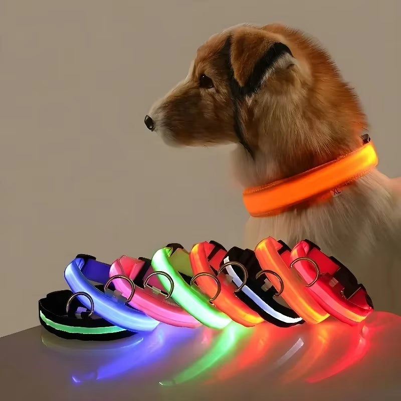 Pet Glow- Collar LED para Perros